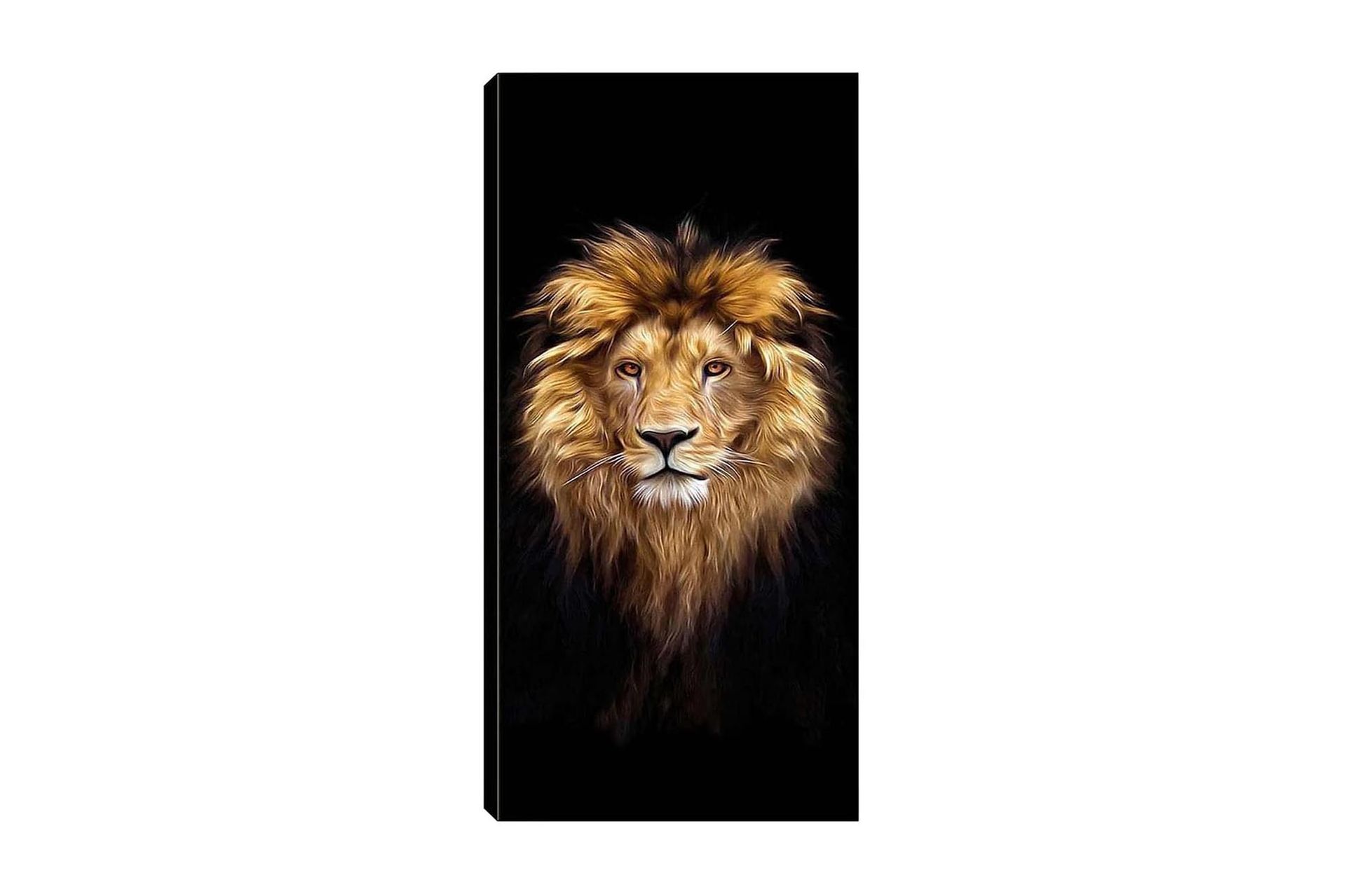 Canvastavla DKY Animals Flerfärgad - 50x120 cm (Art.nr 1184458) — Chilli