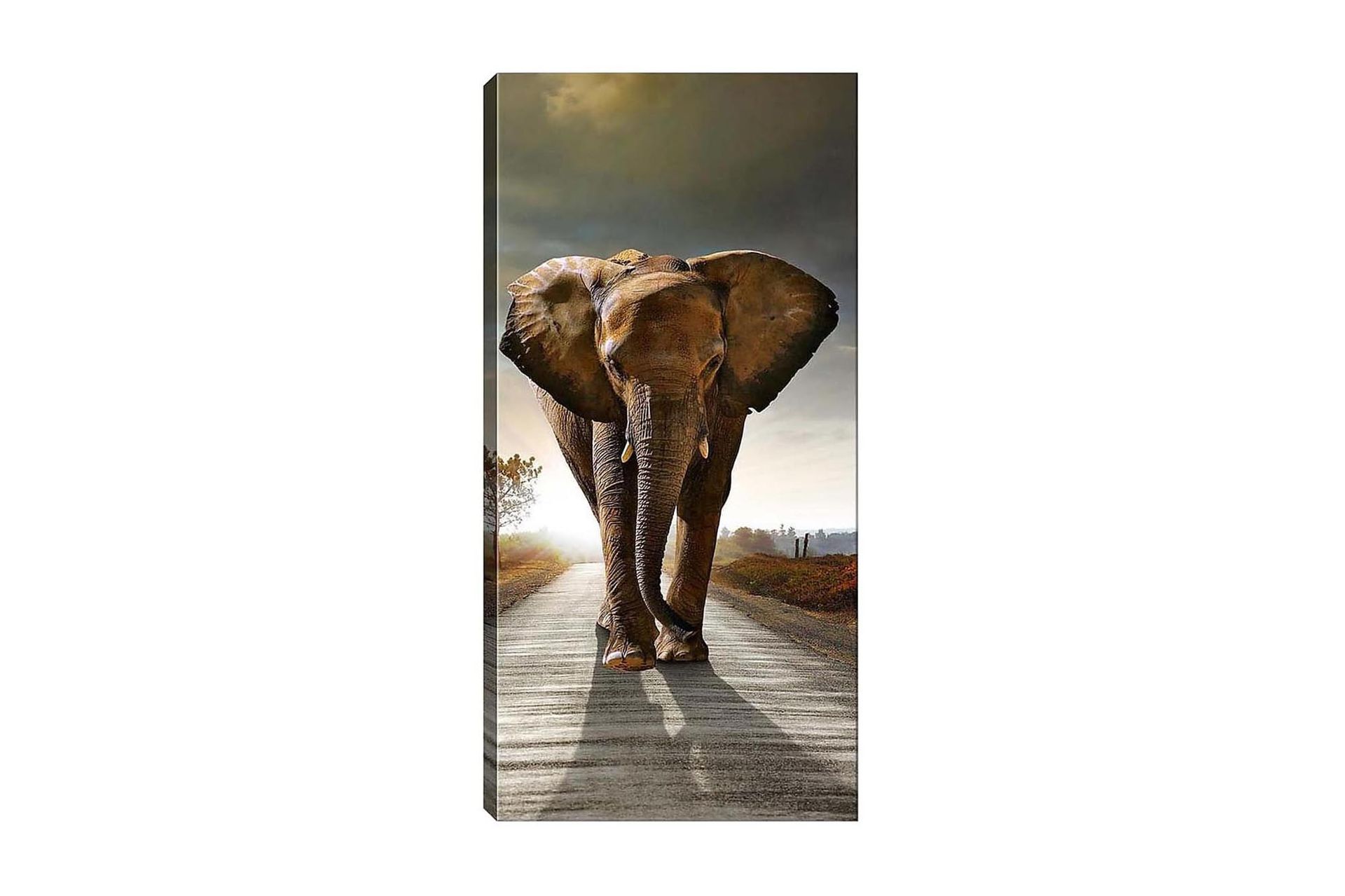 Canvastavla DKY Animals Flerfärgad - 50x120 cm (Art.nr 1184287) — Chilli