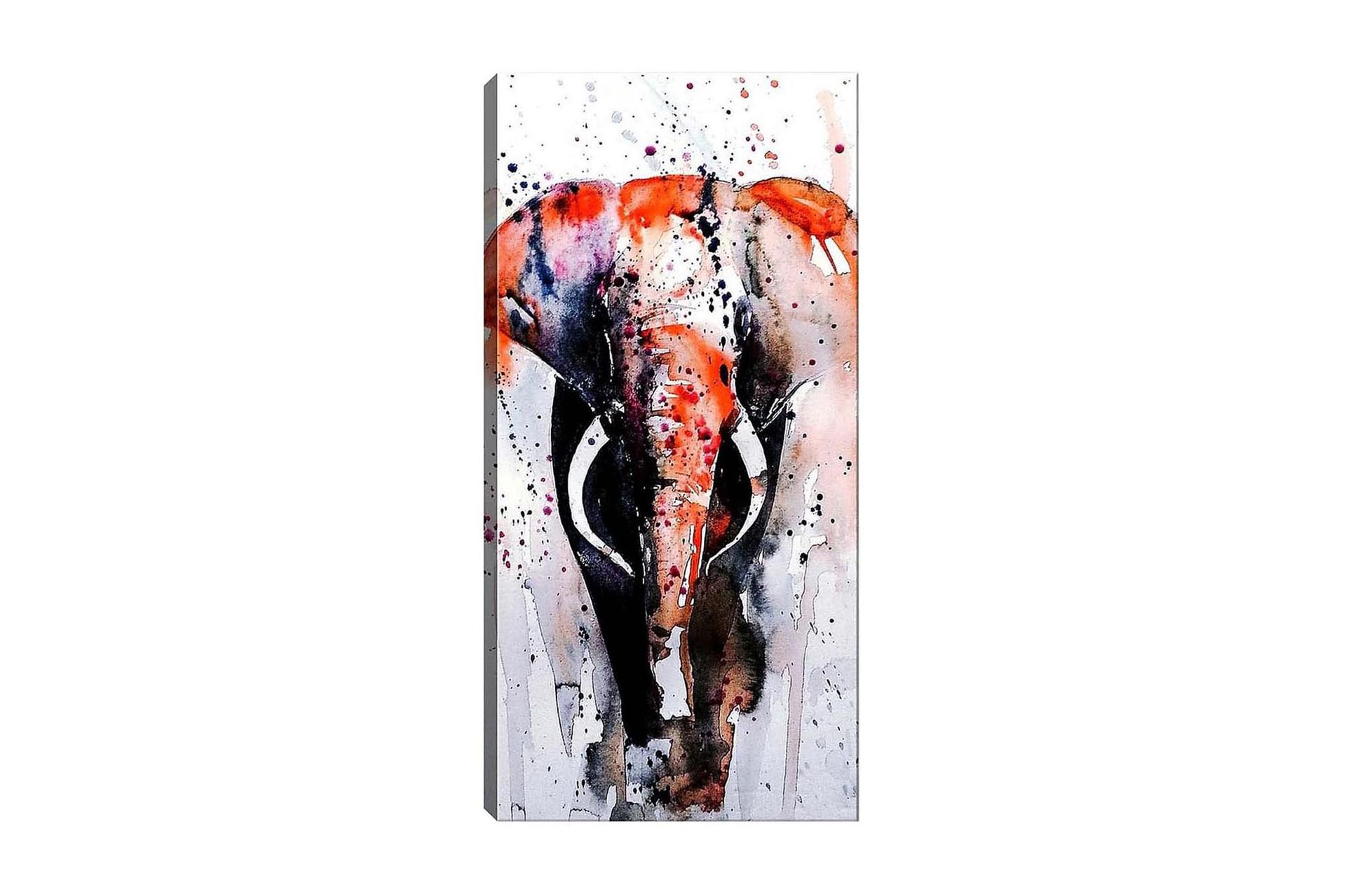 Canvastavla DKY Animals Flerfärgad - 50x120 cm (Art.nr 1184118) — Chilli