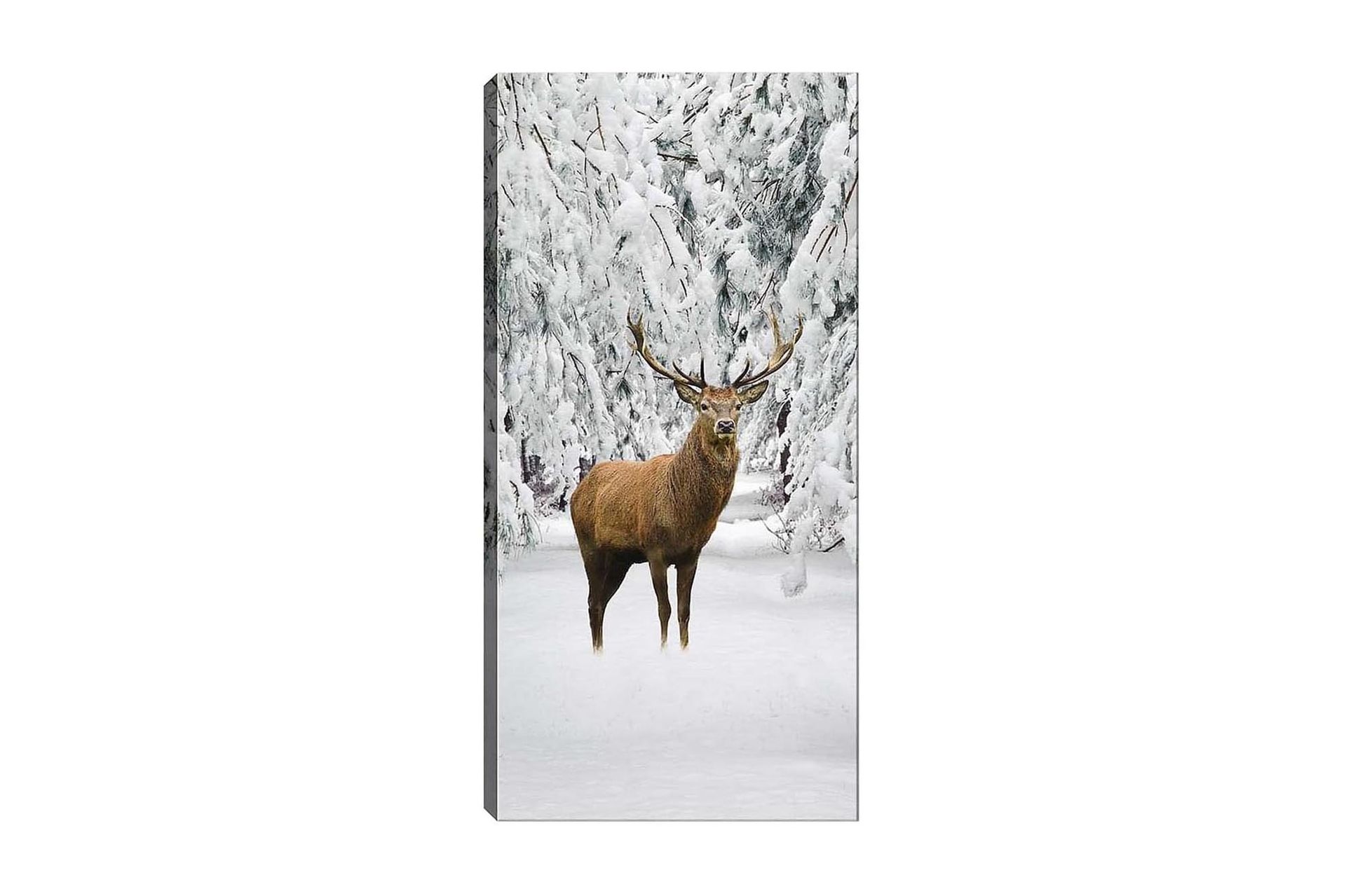 Canvastavla DKY Animals Flerfärgad - 50x120 cm (Art.nr 1184558) — Chilli