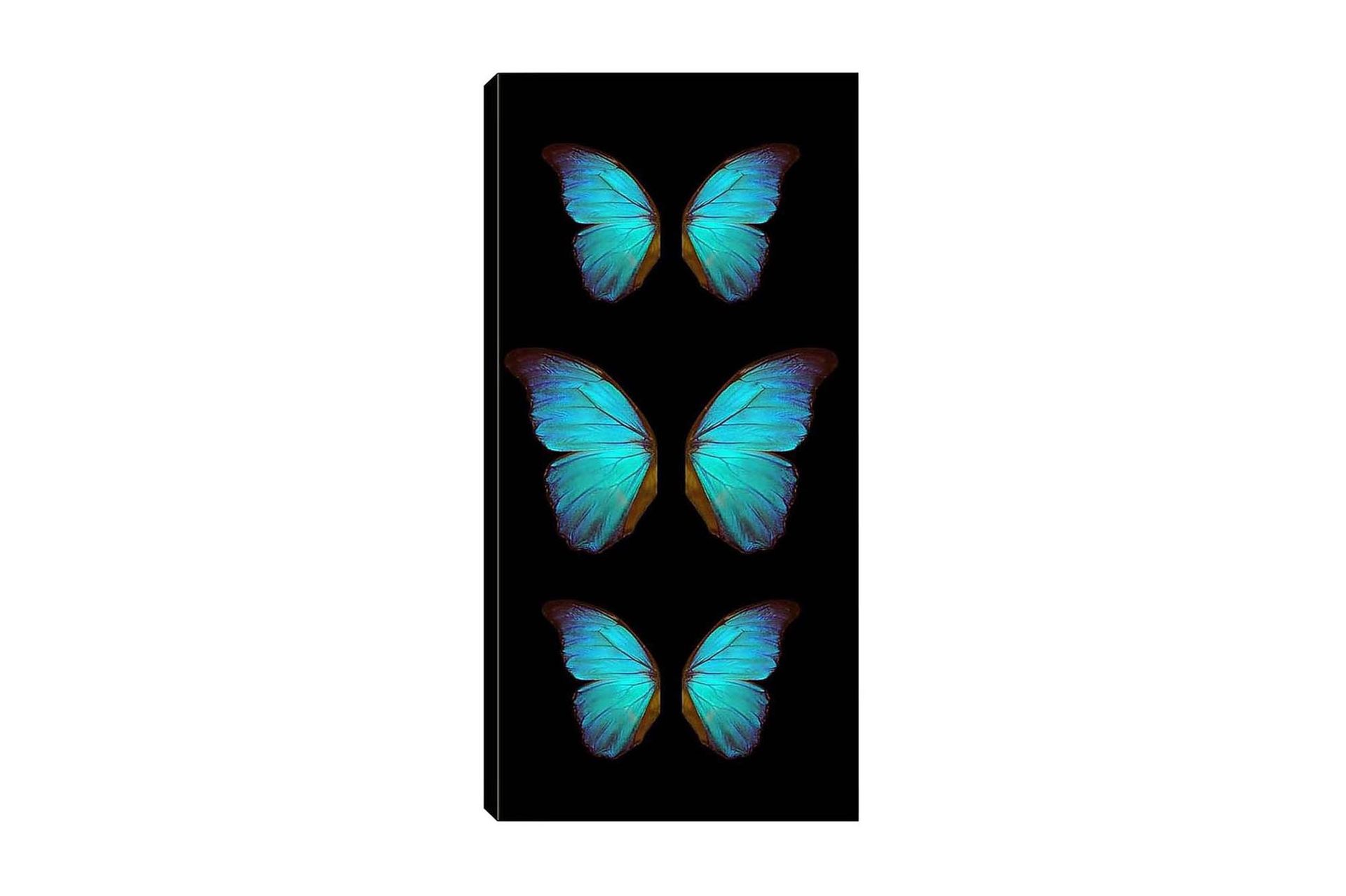 Canvastavla DKY Animals Flerfärgad - 50x120 cm (Art.nr 1184312) — Chilli