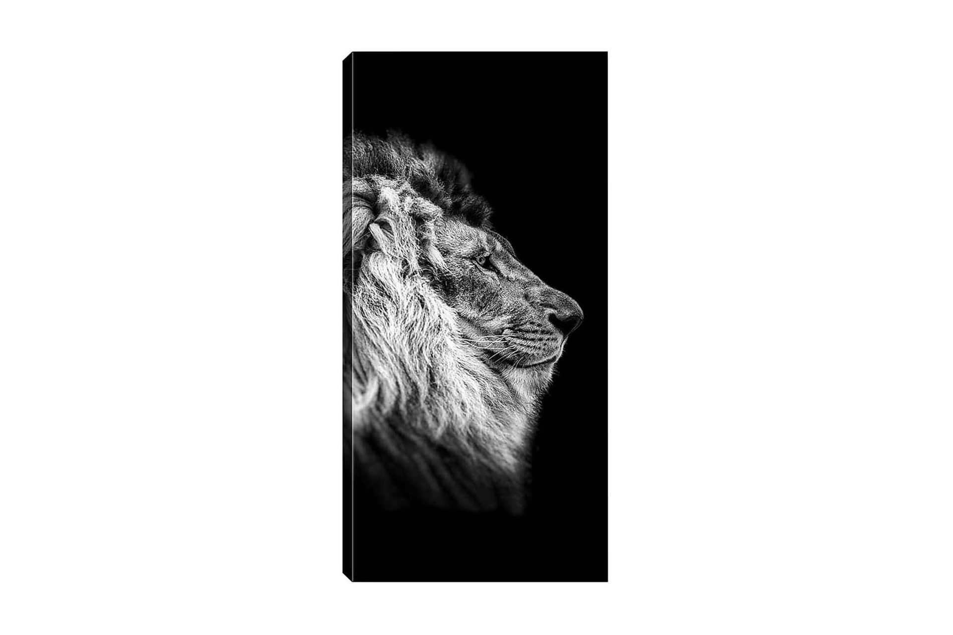 Canvastavla DKY Animals Flerfärgad - 50x120 cm (Art.nr 1184578) — Chilli
