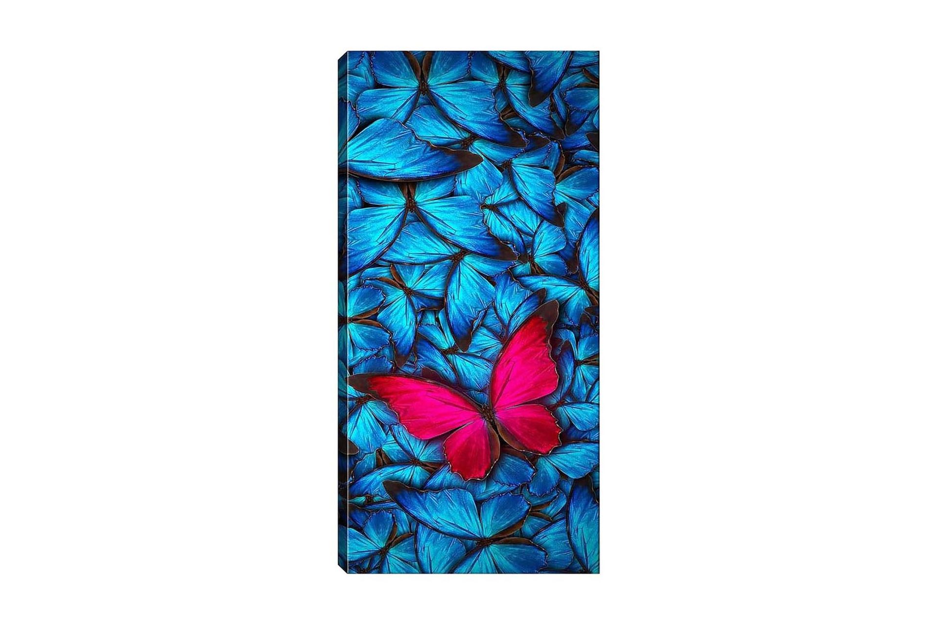 Canvastavla DKY Animals Flerfärgad - 50x120 cm (Art.nr 1184603) — Chilli