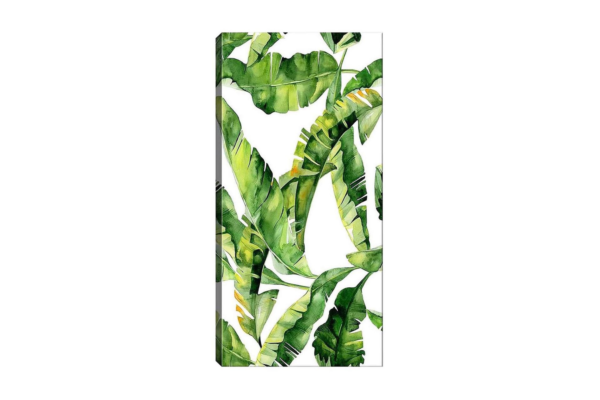 Canvastavla DKY Floral & Botanical Flerfärgad - 50x120 cm (Art.nr 1184937) — Chilli