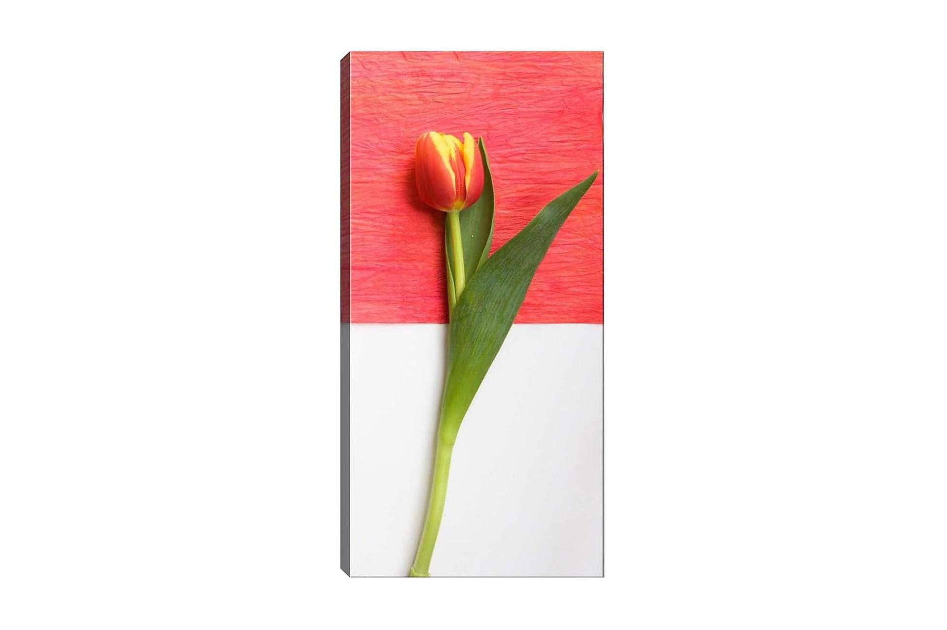 Canvastavla DKY Floral & Botanical Flerfärgad - 50x120 cm (Art.nr 1184282) — Chilli