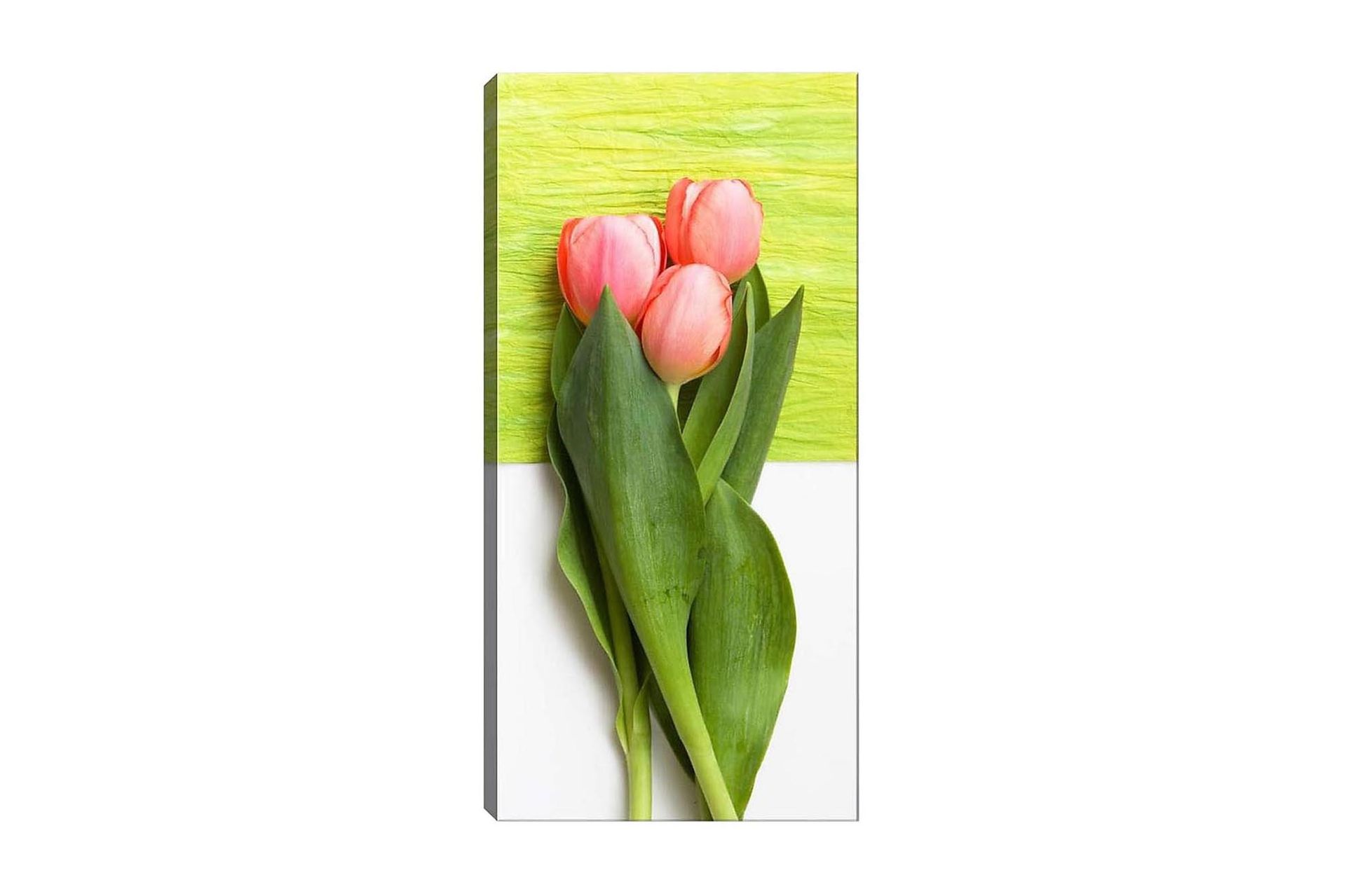 Canvastavla DKY Floral & Botanical Flerfärgad - 50x120 cm (Art.nr 1184506) — Chilli