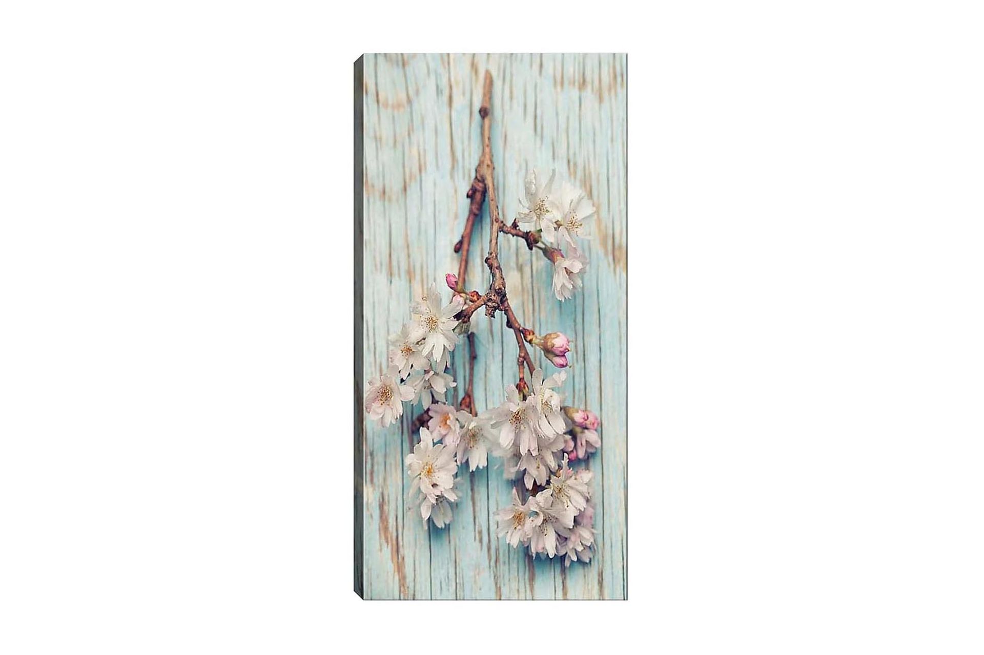 Canvastavla DKY Floral & Botanical Flerfärgad - 50x120 cm (Art.nr 1184072) — Chilli