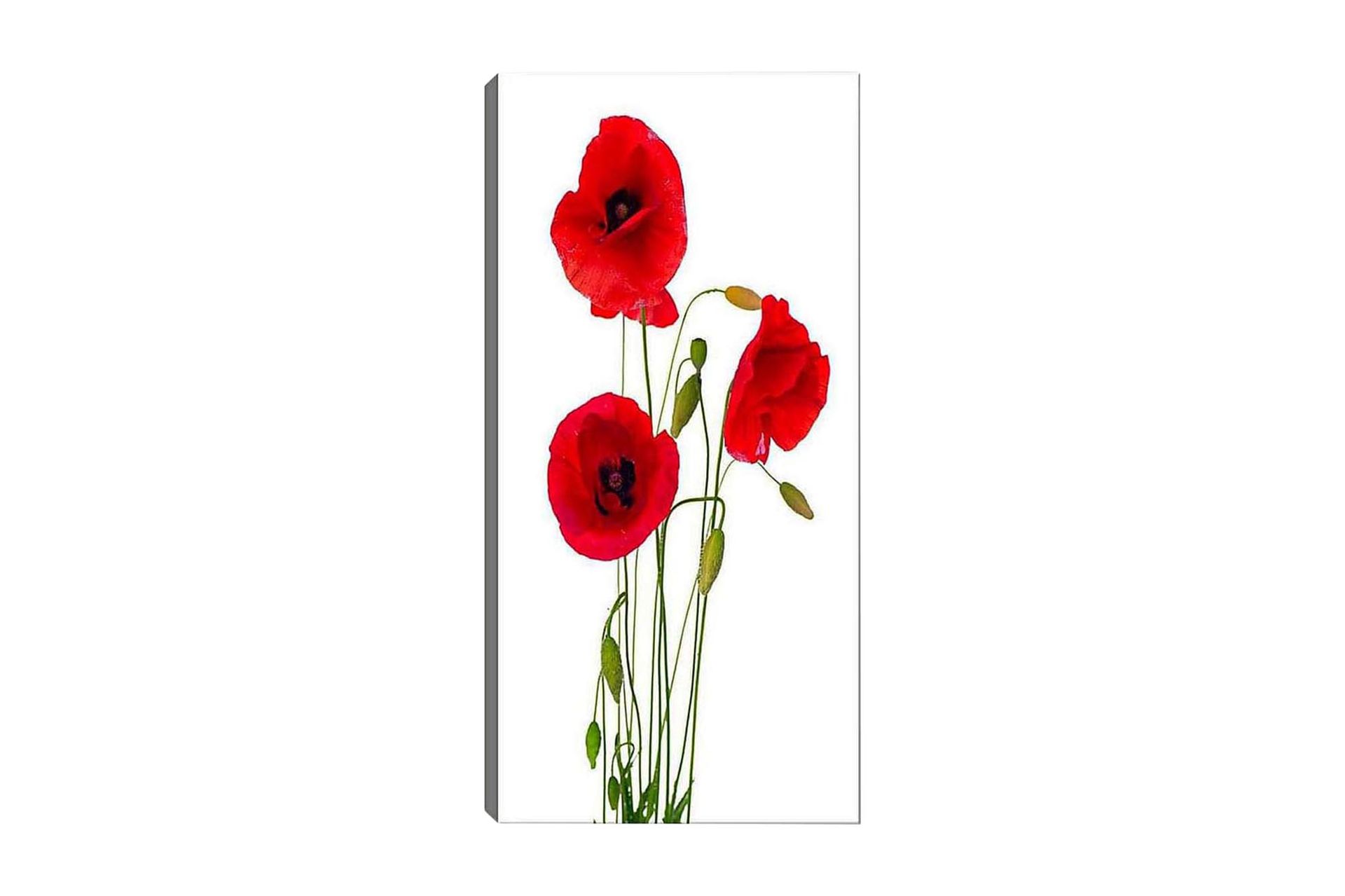 Canvastavla DKY Floral & Botanical Flerfärgad - 50x120 cm (Art.nr 1184035) — Chilli