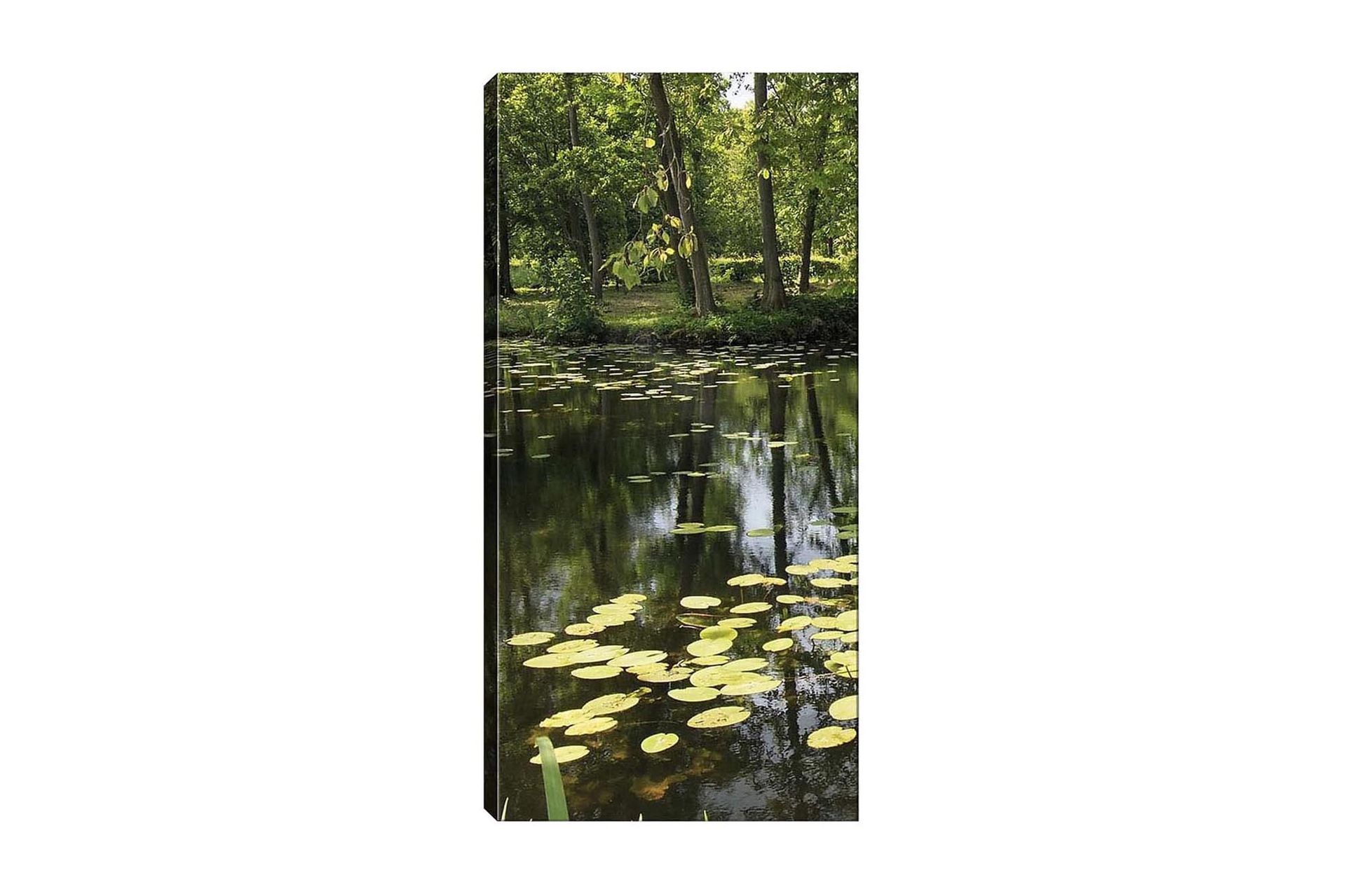 Canvastavla DKY Floral & Botanical Flerfärgad - 50x120 cm (Art.nr 1184800) — Chilli