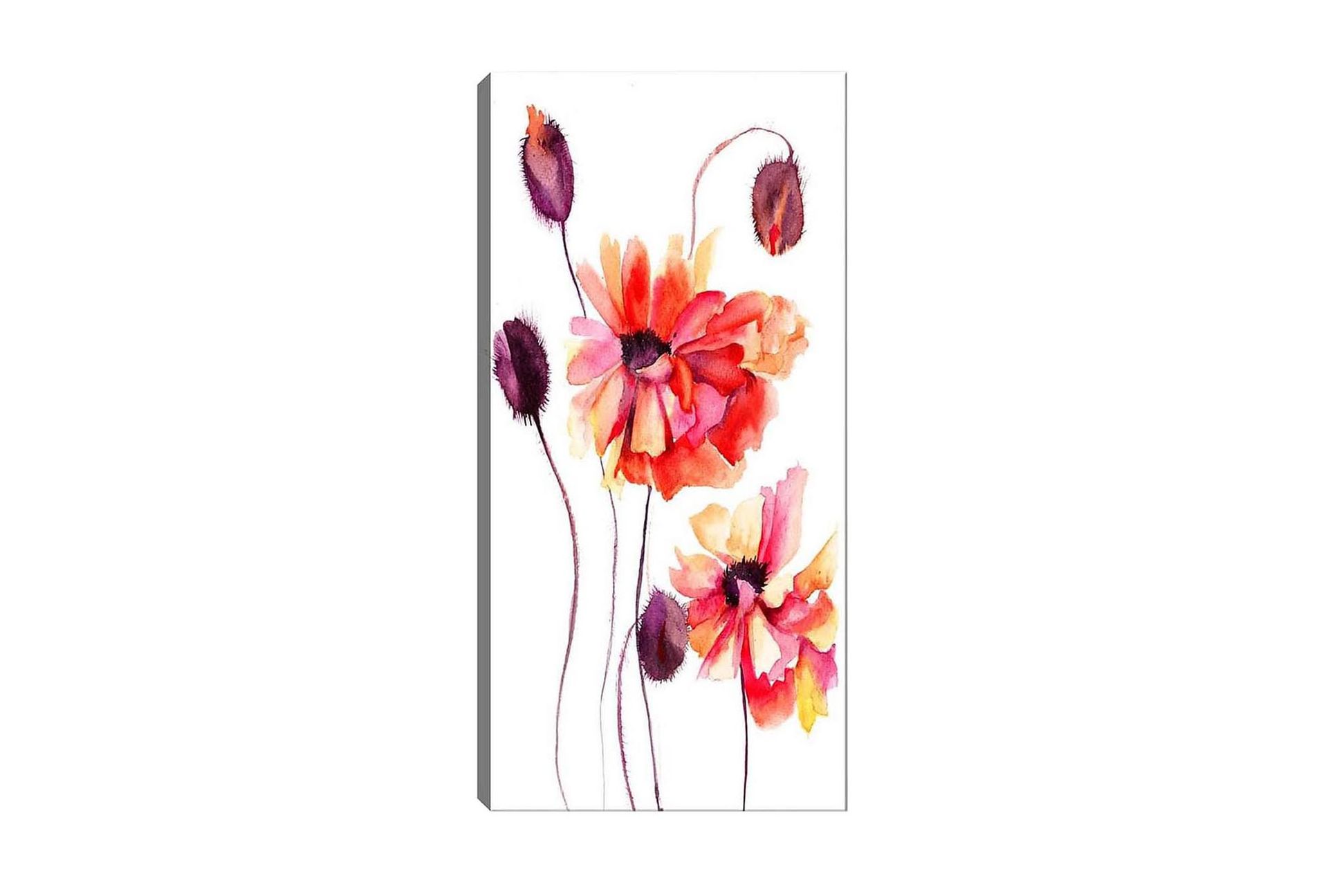Canvastavla DKY Floral & Botanical Flerfärgad - 50x120 cm (Art.nr 1184830) — Chilli