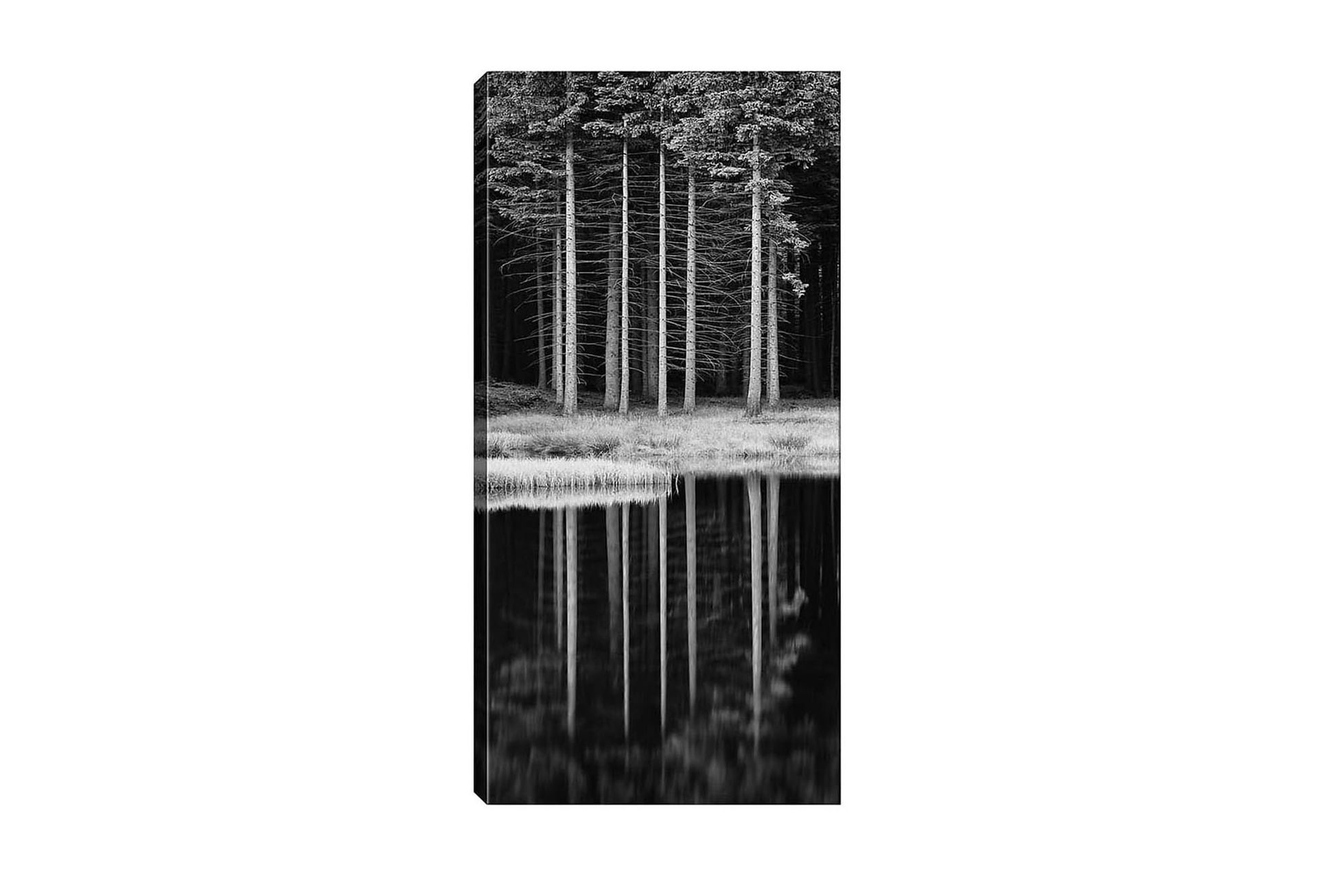 Canvastavla DKY Floral & Botanical Flerfärgad - 50x120 cm (Art.nr 1184625) — Chilli
