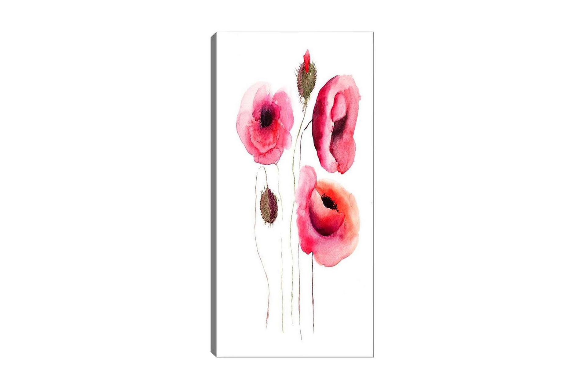 Canvastavla DKY Floral & Botanical Flerfärgad - 50x120 cm (Art.nr 1184803) — Chilli