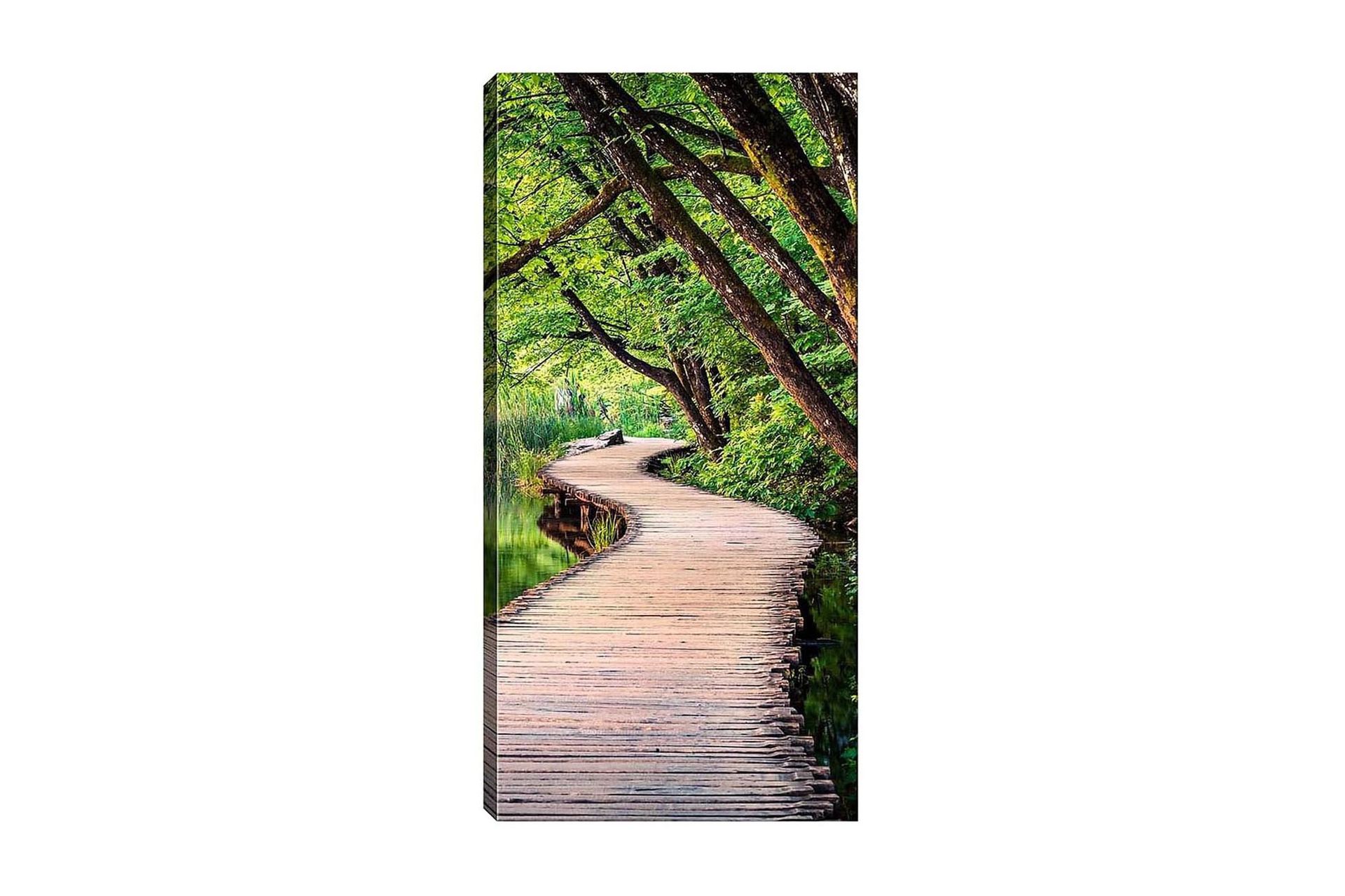 Canvastavla DKY Floral & Botanical Flerfärgad - 50x120 cm (Art.nr 1184575) — Chilli