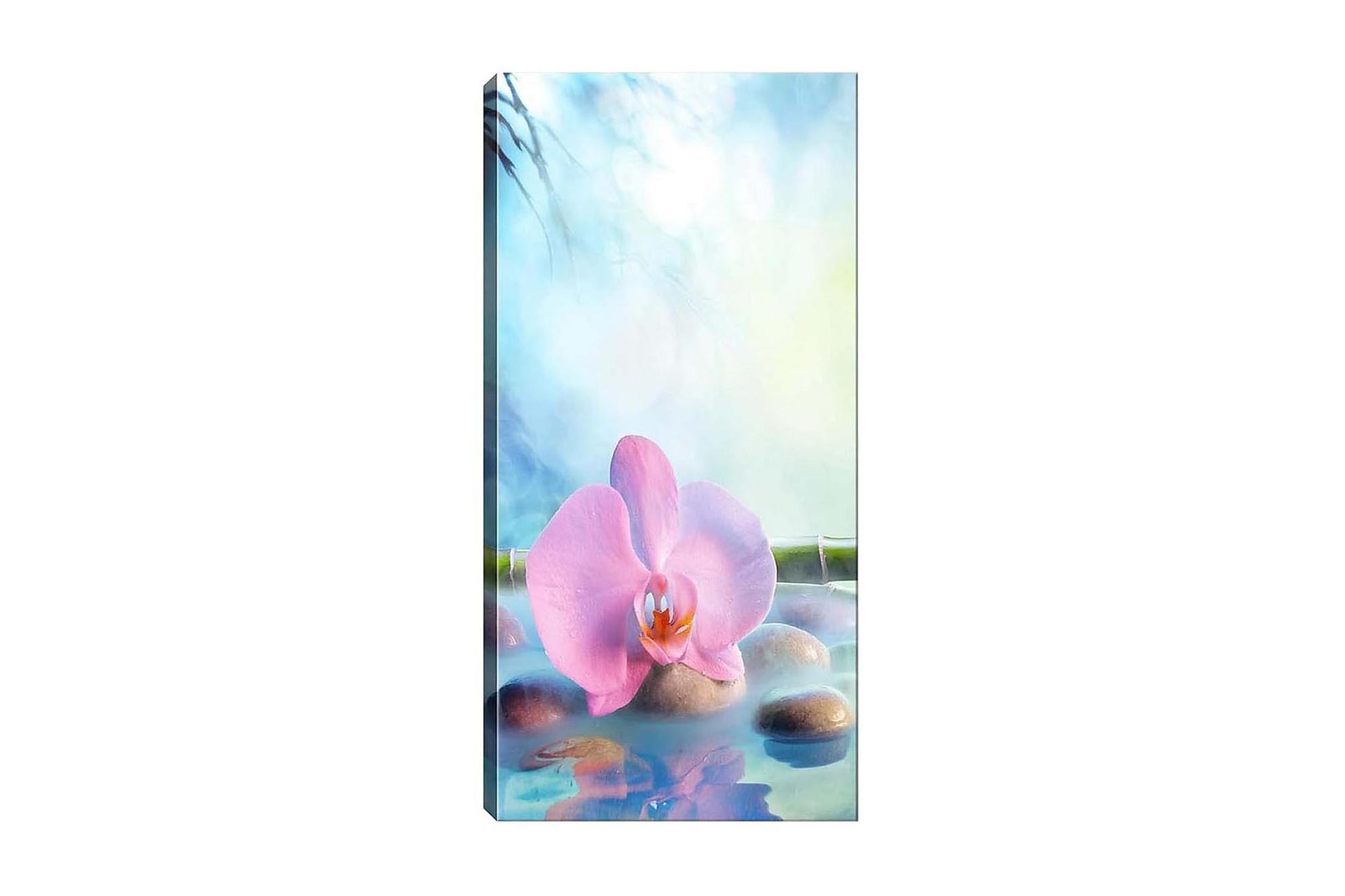 Canvastavla DKY Floral & Botanical Flerfärgad - 50x120 cm (Art.nr 1184690) — Chilli