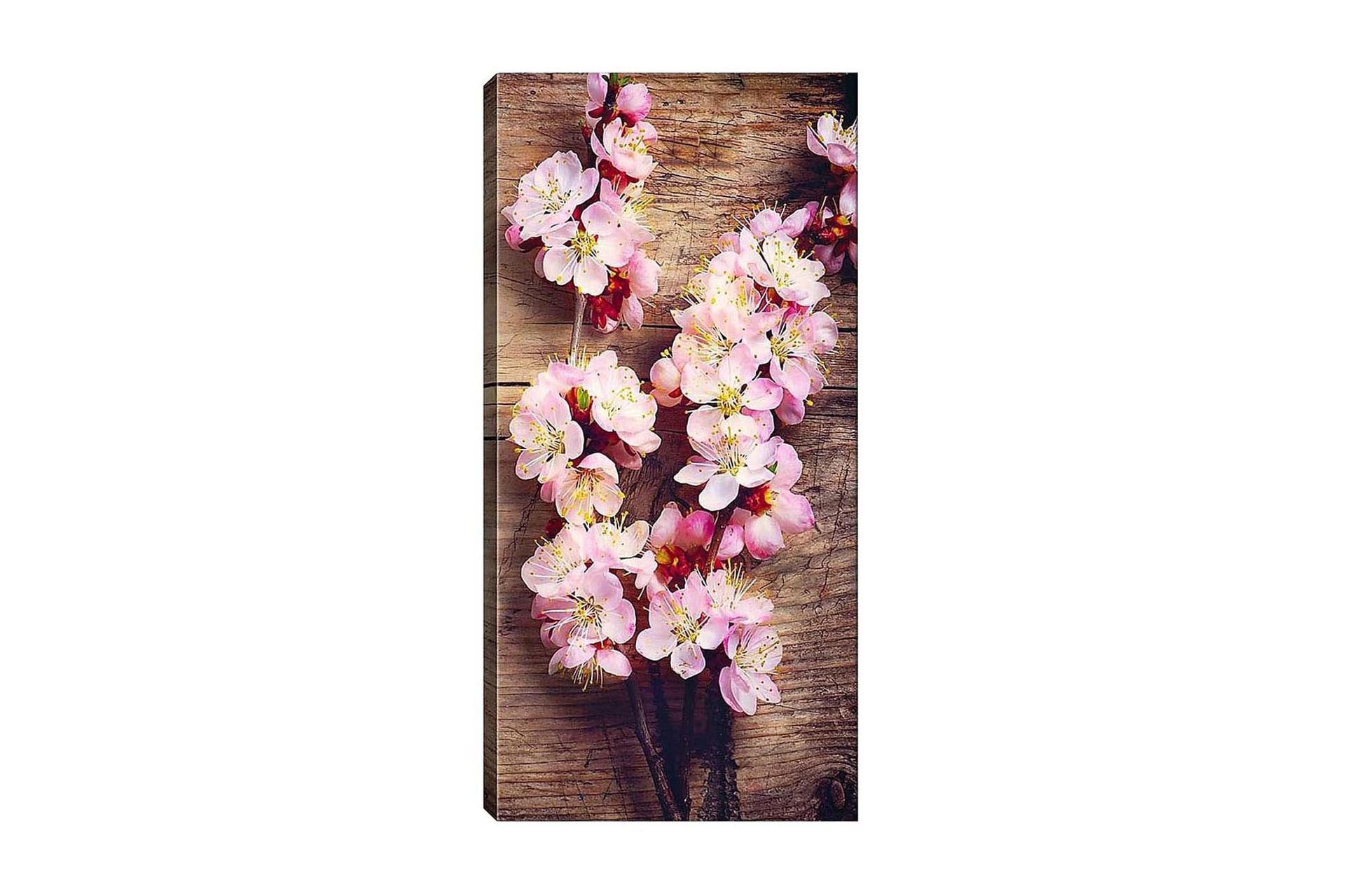 Canvastavla DKY Floral & Botanical Flerfärgad - 50x120 cm (Art.nr 1184842) — Chilli