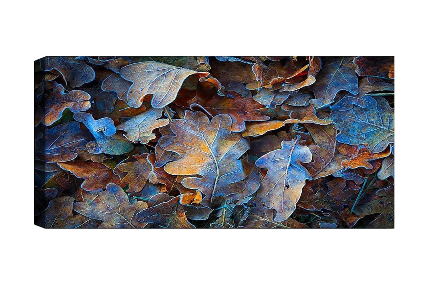 Canvastavla YTY Abstract & Fractals Flerfärgad - 120x50 cm (Art.nr 1184963) — Chilli
