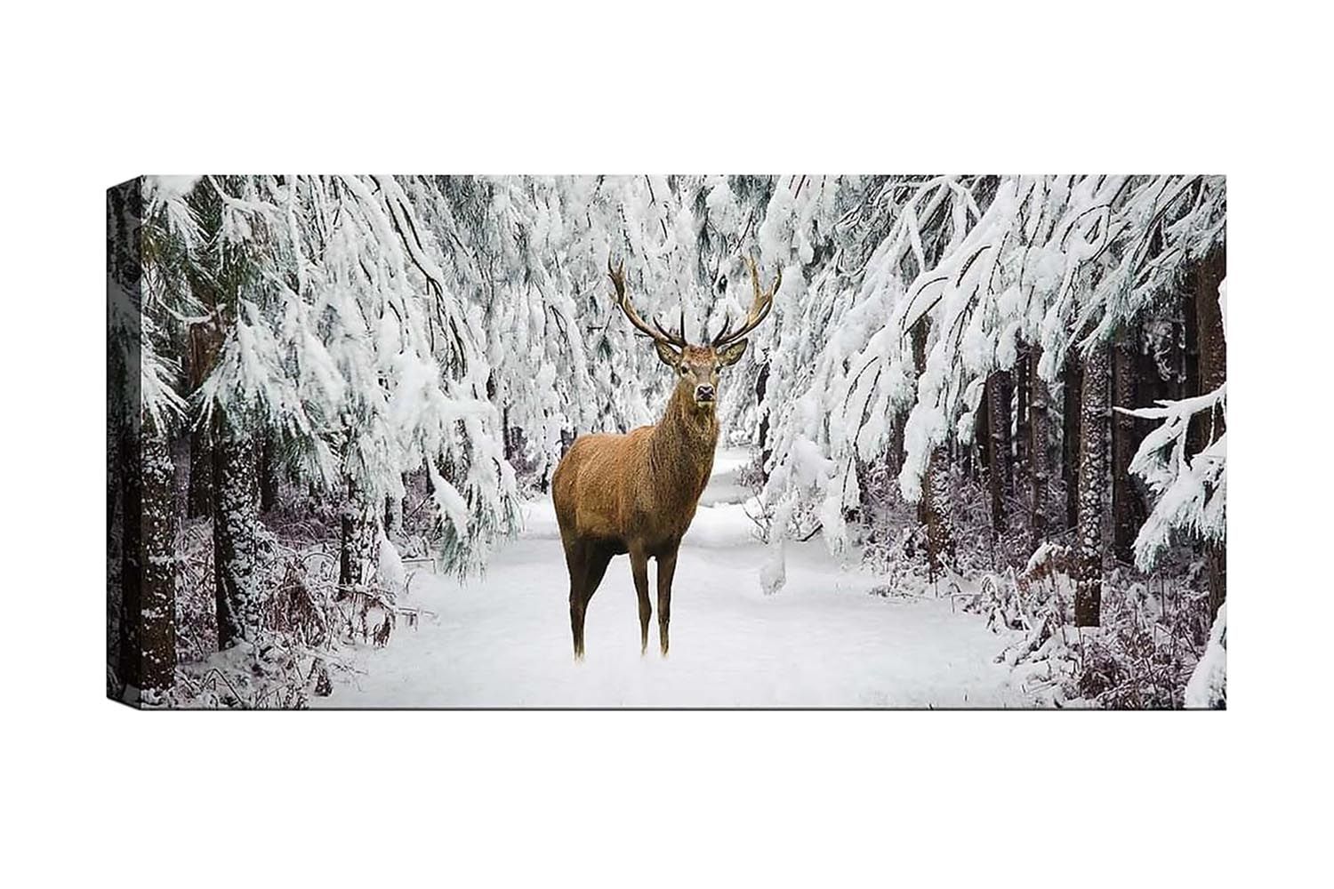 Canvastavla YTY Animals Flerfärgad - 120x50 cm (Art.nr 1184893) — Chilli
