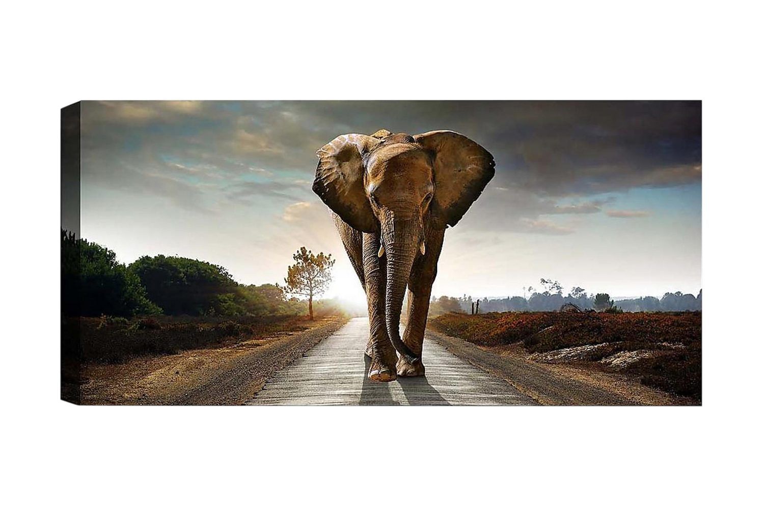 Canvastavla YTY Animals Flerfärgad - 120x50 cm (Art.nr 1184704) — Chilli