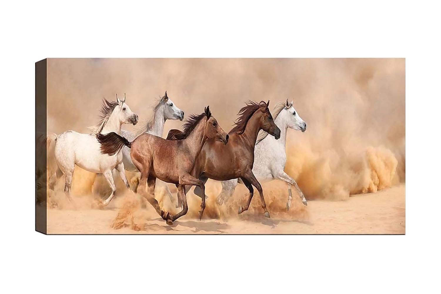 Canvastavla YTY Animals Flerfärgad - 120x50 cm (Art.nr 1184403) — Chilli