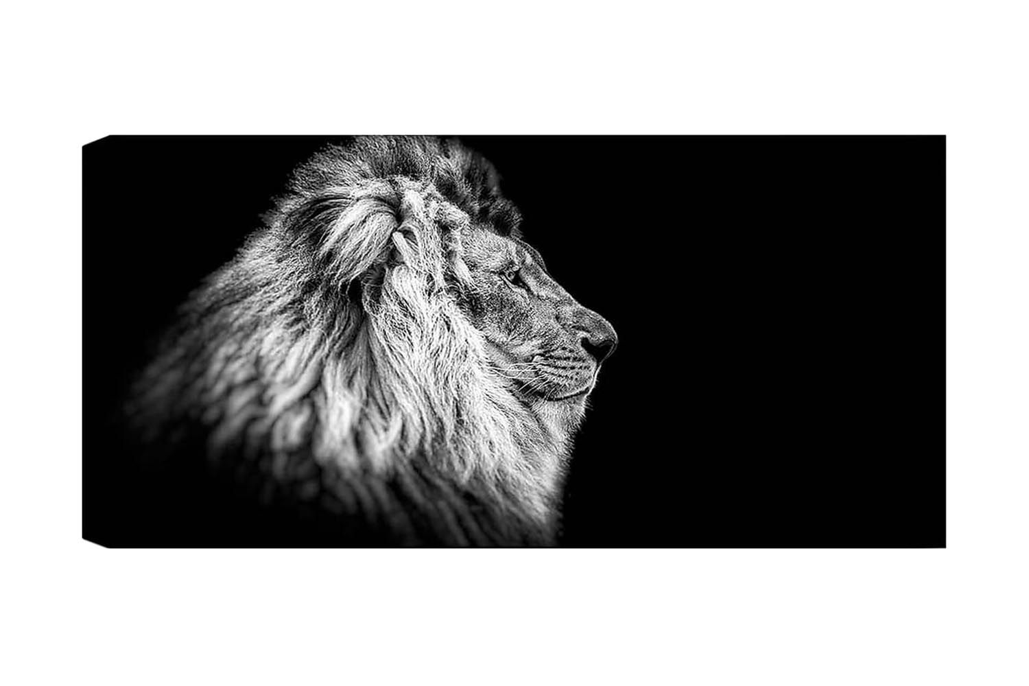 Canvastavla YTY Animals Flerfärgad - 120x50 cm (Art.nr 1184602) — Chilli