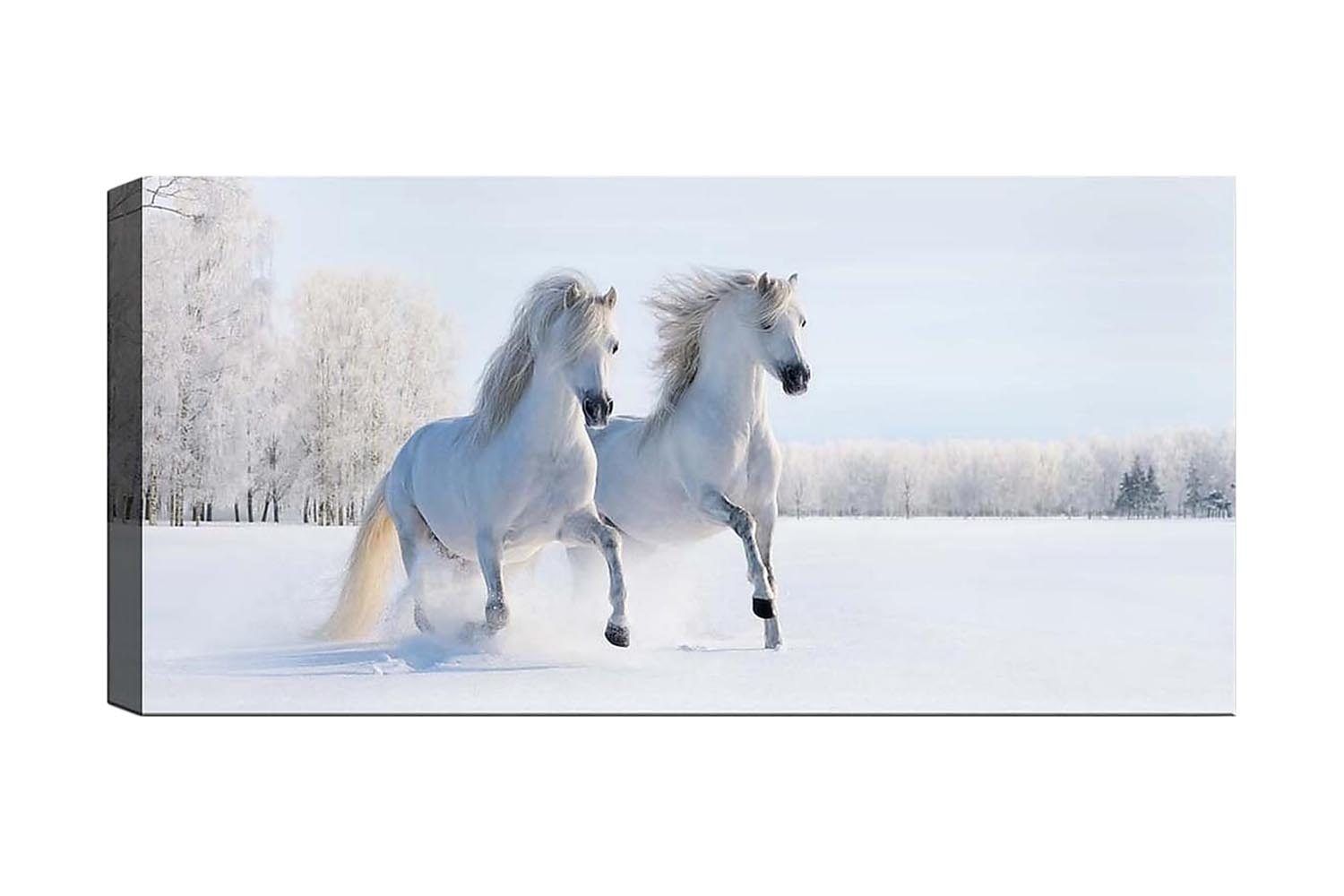 Canvastavla YTY Animals Flerfärgad - 120x50 cm (Art.nr 1184819) — Chilli