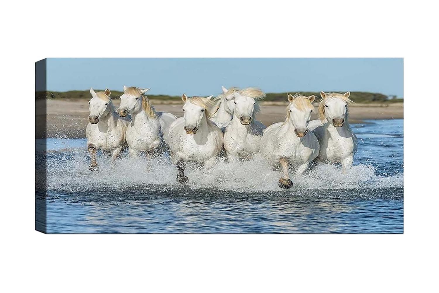 Canvastavla YTY Animals Flerfärgad - 120x50 cm (Art.nr 1184651) — Chilli