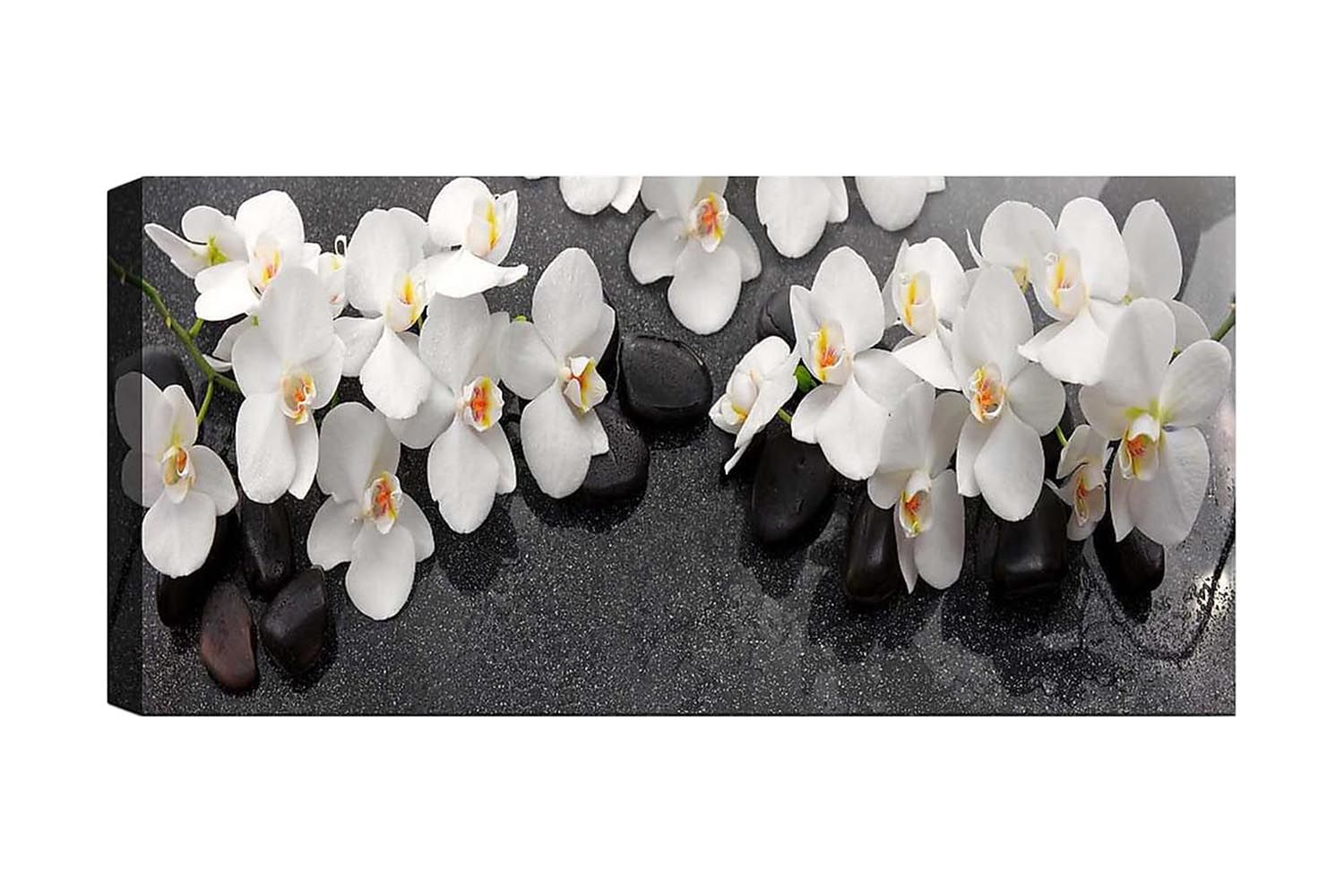 Canvastavla YTY Floral & Botanical Flerfärgad - 120x50 cm (Art.nr 1184004) — Chilli