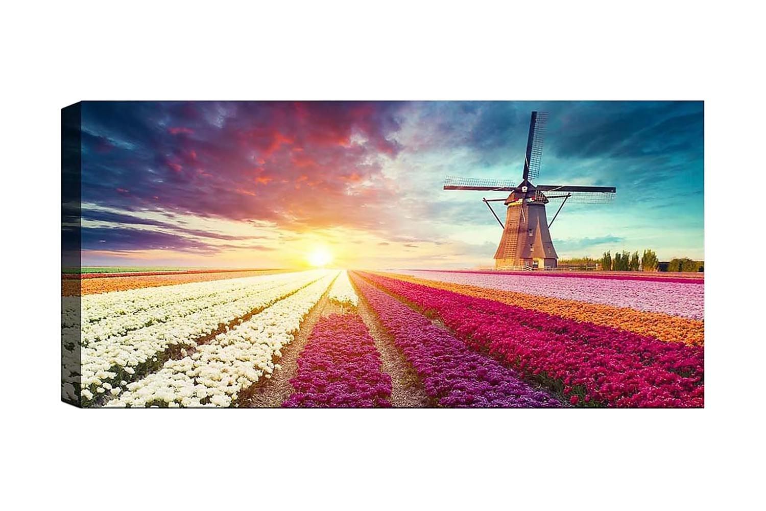 Canvastavla YTY Floral & Botanical Flerfärgad - 120x50 cm (Art.nr 1184215) — Chilli