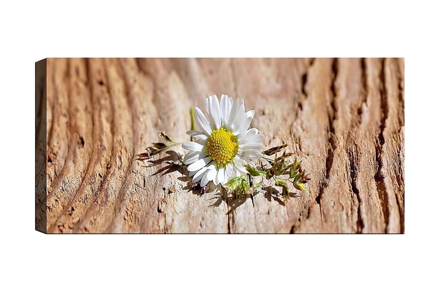 Canvastavla YTY Floral & Botanical Flerfärgad - 120x50 cm (Art.nr 1184359) — Chilli