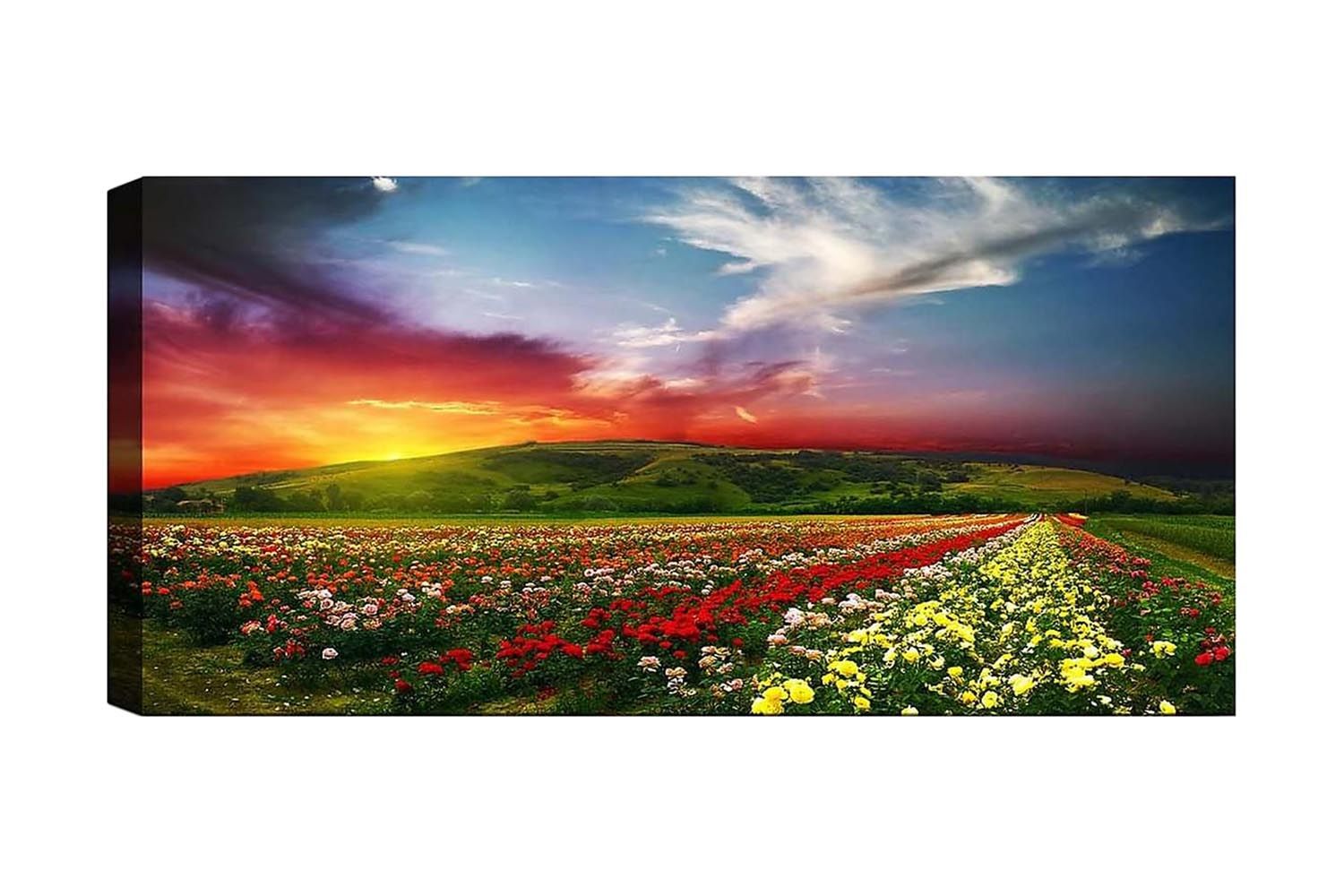 Canvastavla YTY Floral & Botanical Flerfärgad - 120x50 cm (Art.nr 1184854) — Chilli