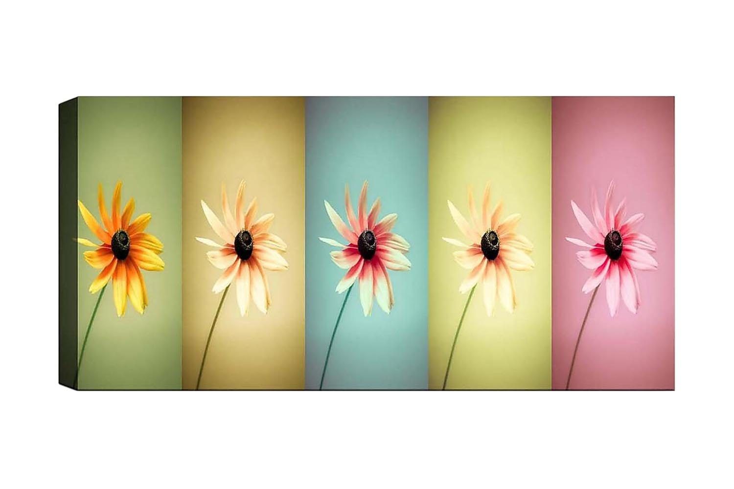 Canvastavla YTY Floral & Botanical Flerfärgad - 120x50 cm (Art.nr 1184530) — Chilli