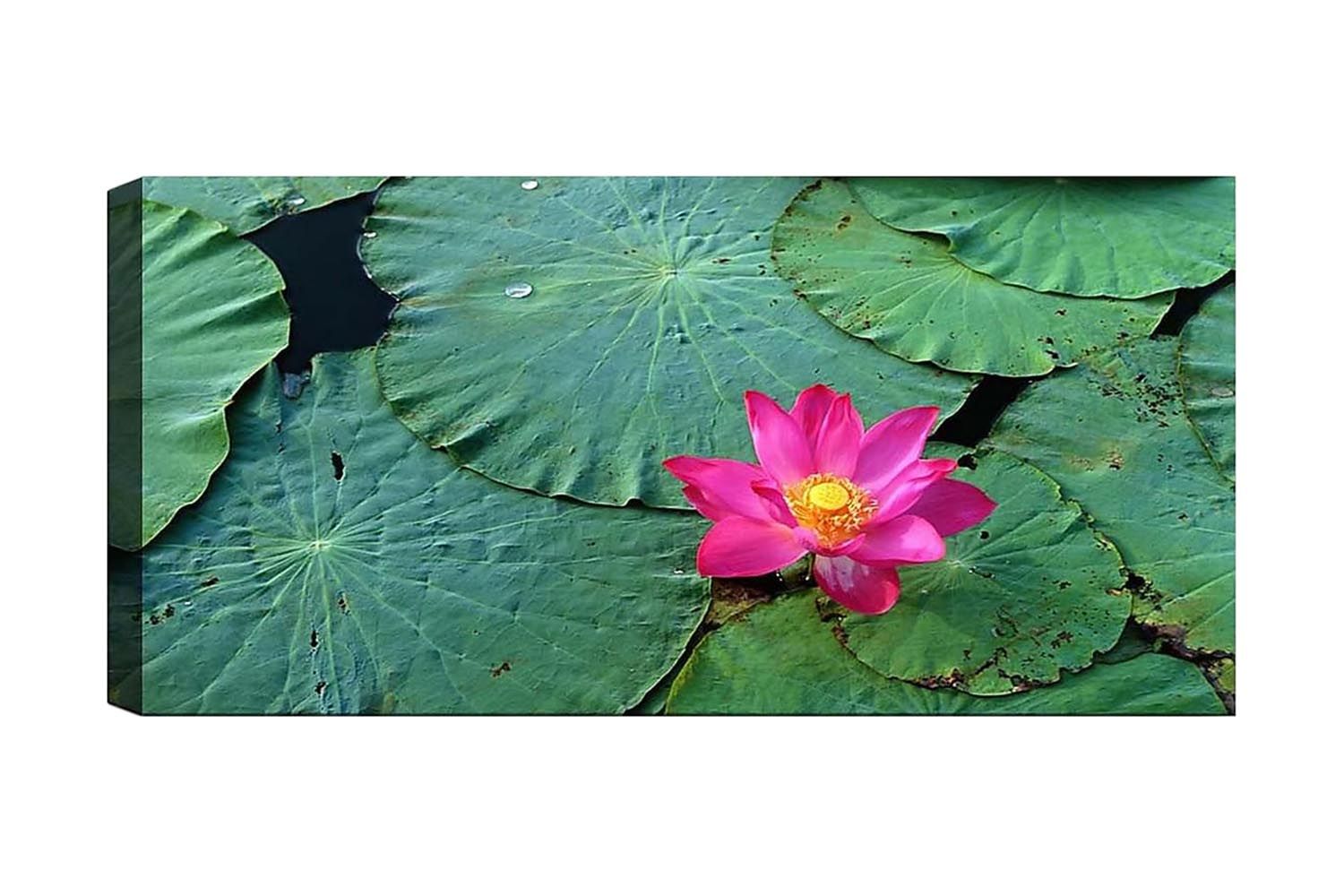 Canvastavla YTY Floral & Botanical Flerfärgad - 120x50 cm (Art.nr 1184256) — Chilli