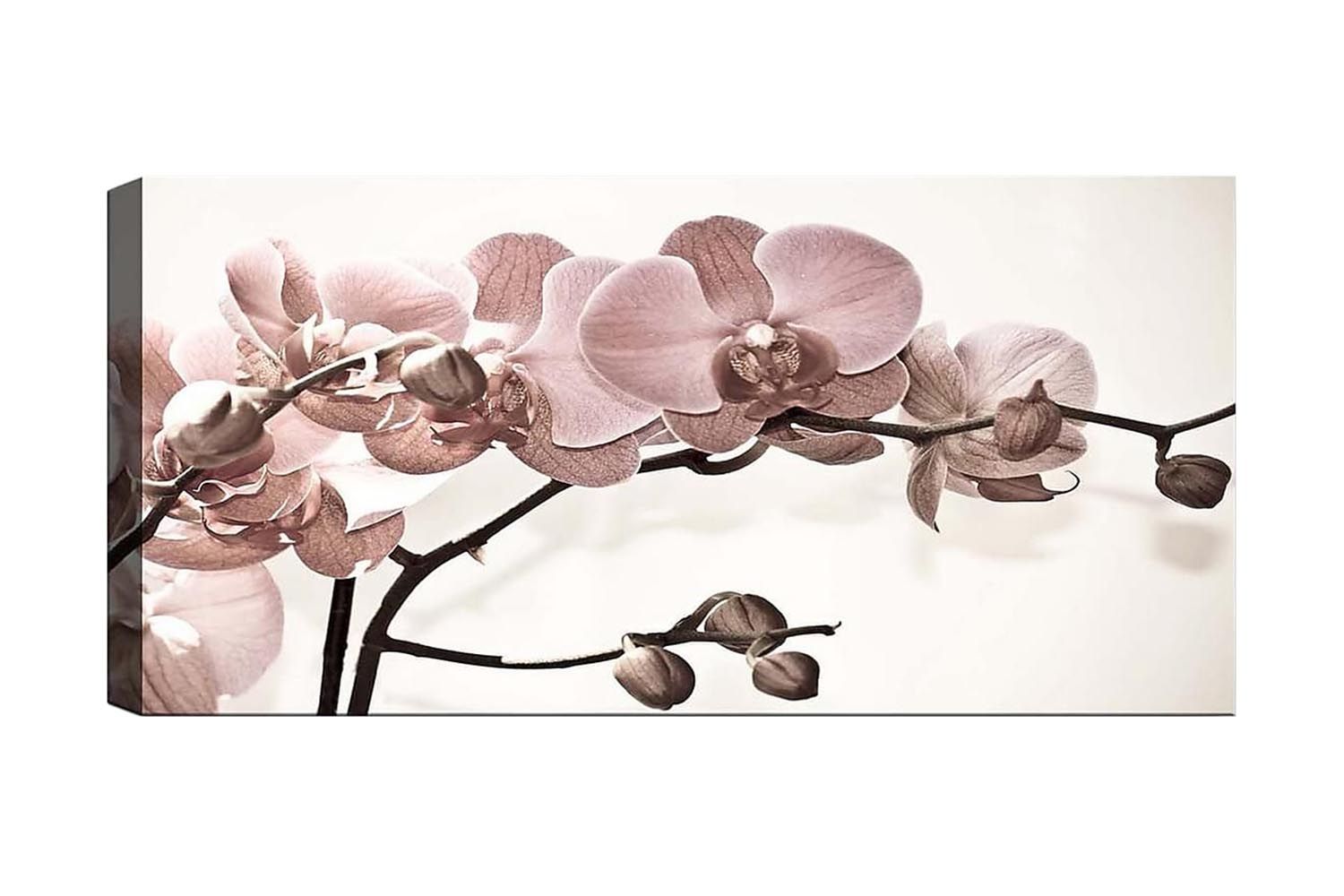 Canvastavla YTY Floral & Botanical Flerfärgad - 120x50 cm (Art.nr 1184255) — Chilli