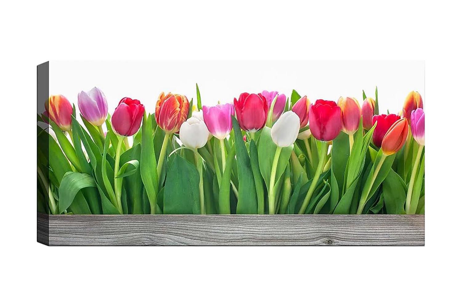 Canvastavla YTY Floral & Botanical Flerfärgad - 120x50 cm (Art.nr 1184279) — Chilli