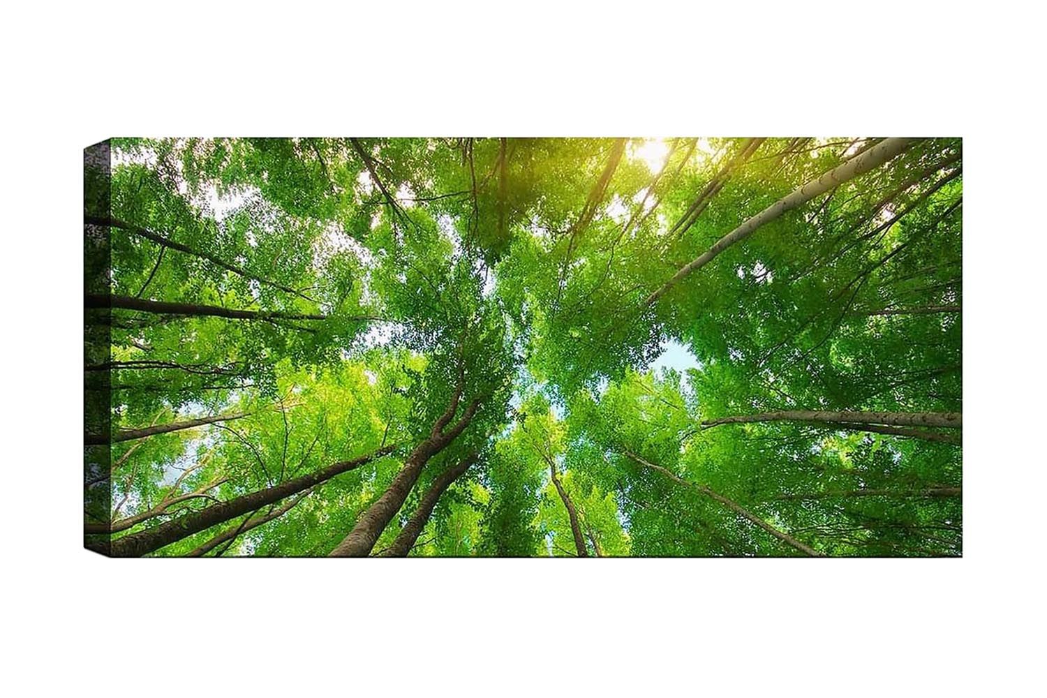 Canvastavla YTY Landscape & Nature Flerfärgad - 120x50 cm (Art.nr 1184200) — Chilli