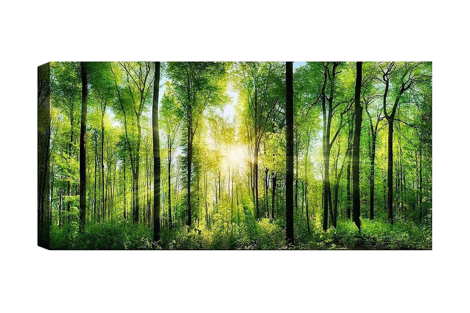 Canvastavla YTY Landscape & Nature Flerfärgad - 120x50 cm (Art.nr 1184064) — Chilli