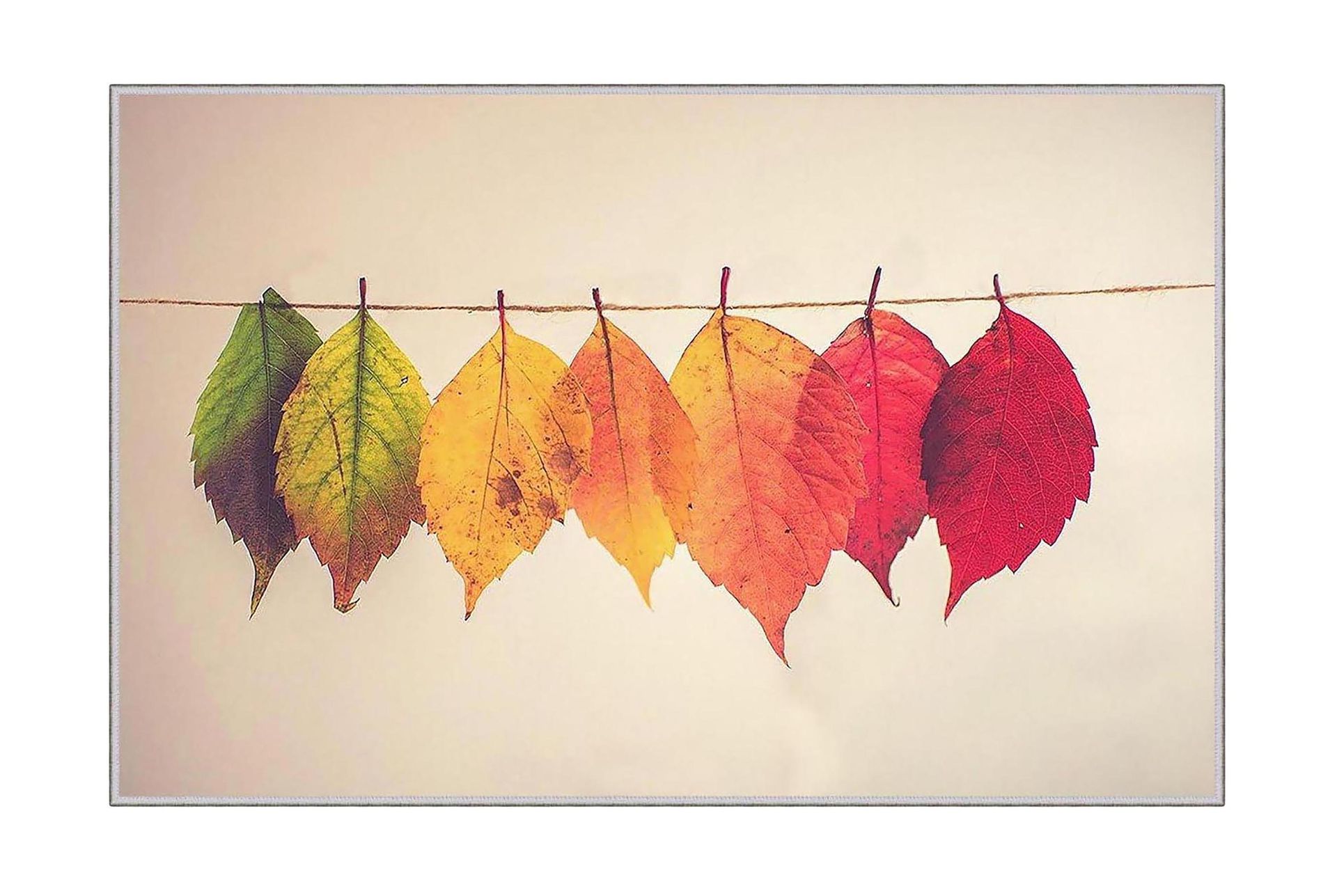 Homefesto Matta 60x100 cm - Multifärgad (Art.nr 1195759) — Chilli